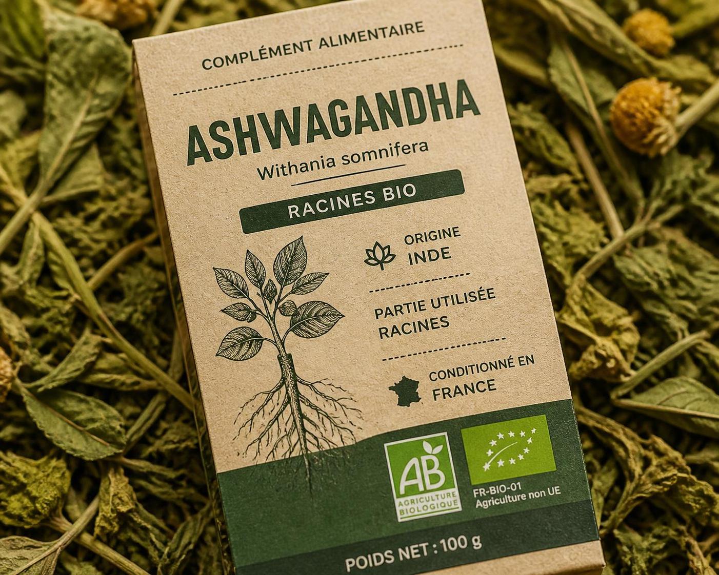découvrez comment choisir vos plantes en gélules ou tisanes en 2026 en tenant compte des labels bio, du dosage, de l'origine et des signes de qualité essentiels pour une consommation saine et efficace.