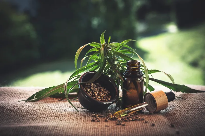 Préparations à base de plantes pour le confort des jambes